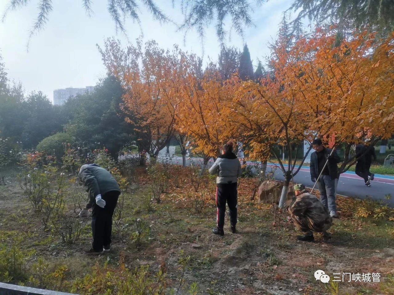 微信图片_20231127084115.jpg
