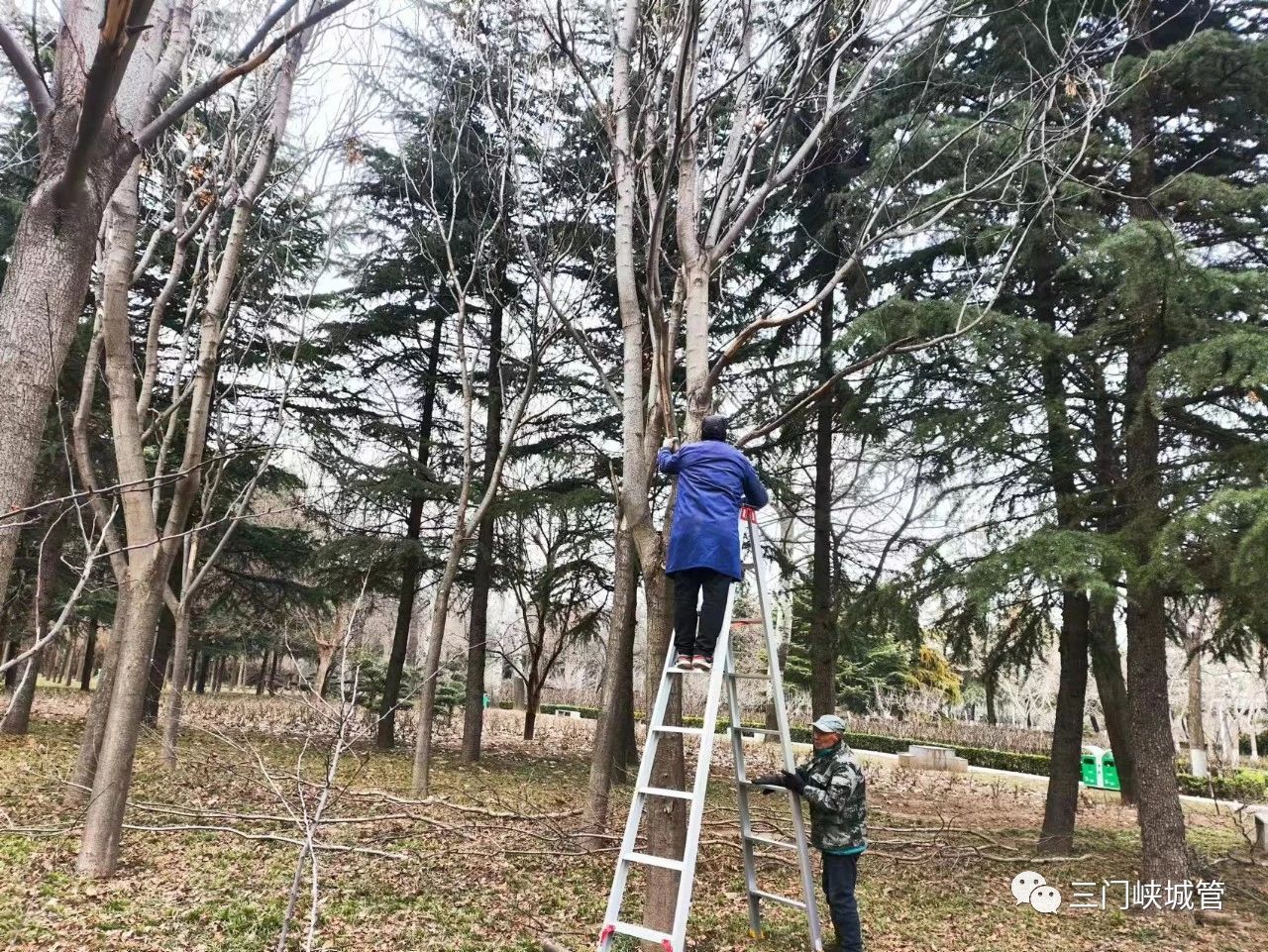 微信图片_20240102103532.jpg
