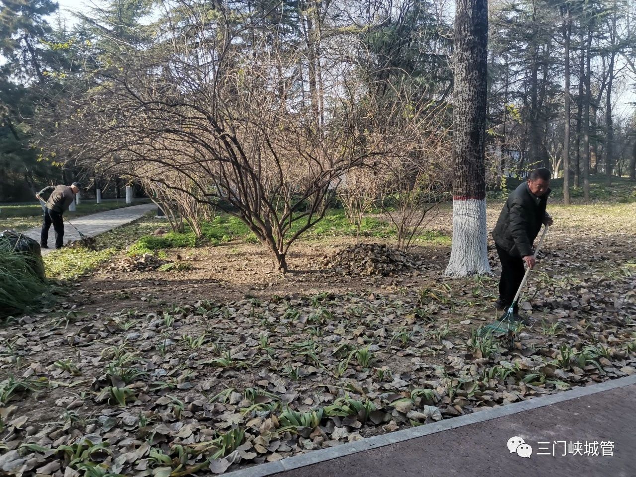 微信图片_20240102103525.jpg