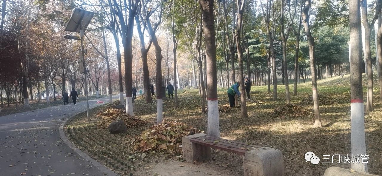 微信图片_20231207082917.jpg