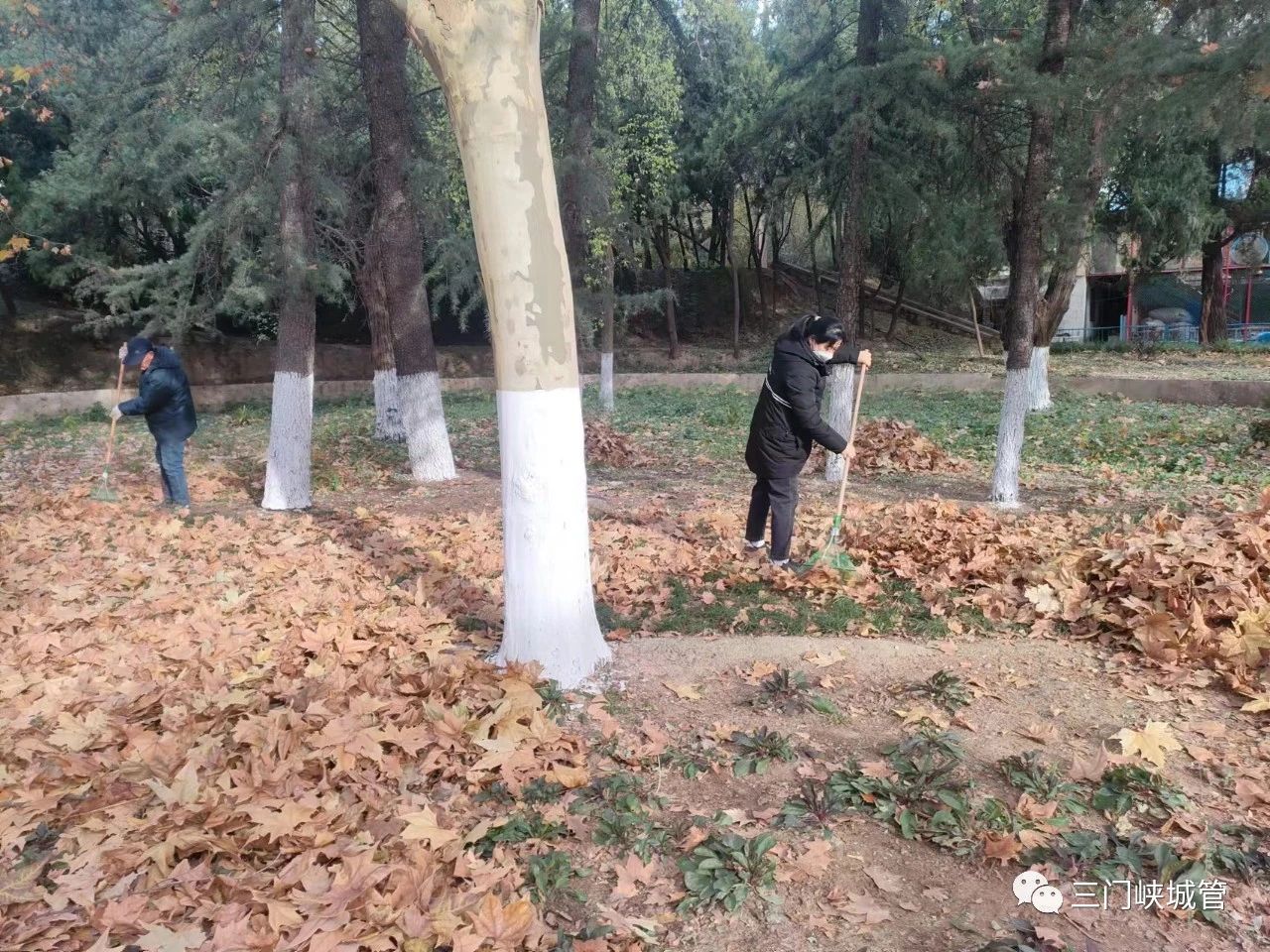 微信图片_20231211090435.jpg