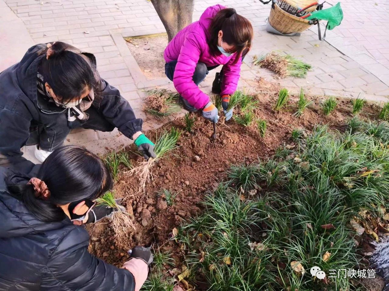 微信图片_20231211090456.jpg