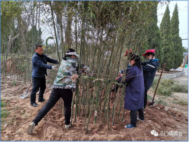 微信图片_20231212083529.png