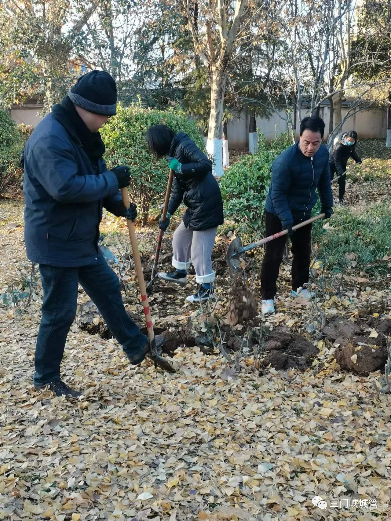 微信图片_20231219082021.jpg