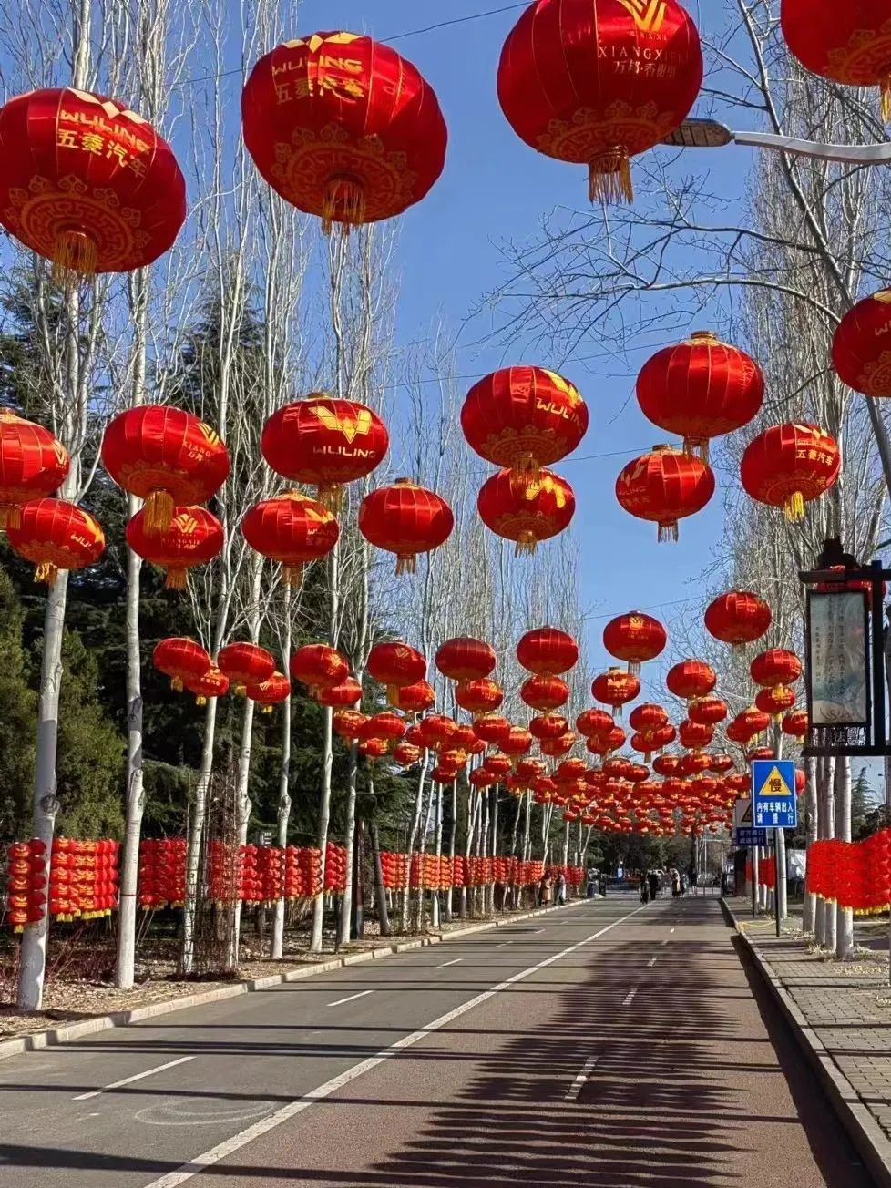 微信图片_20240216083944.jpg