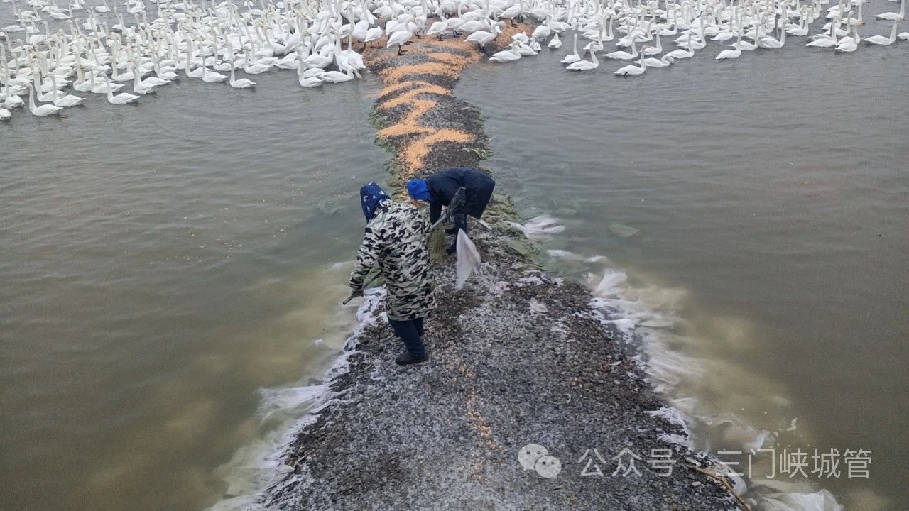 微信图片_20240108083630.jpg