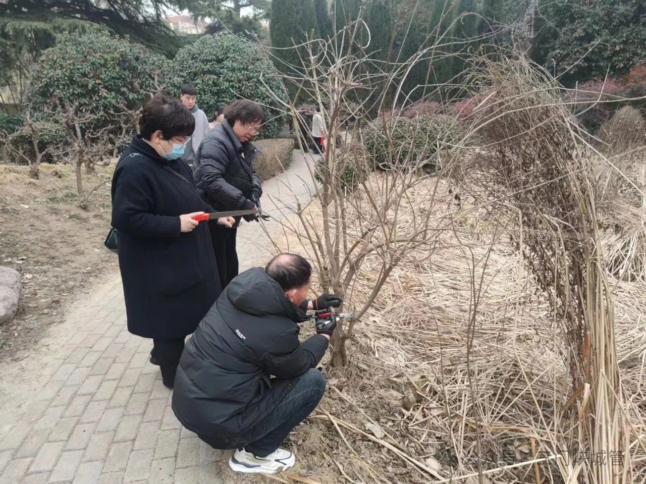 微信图片_20240229083602.jpg