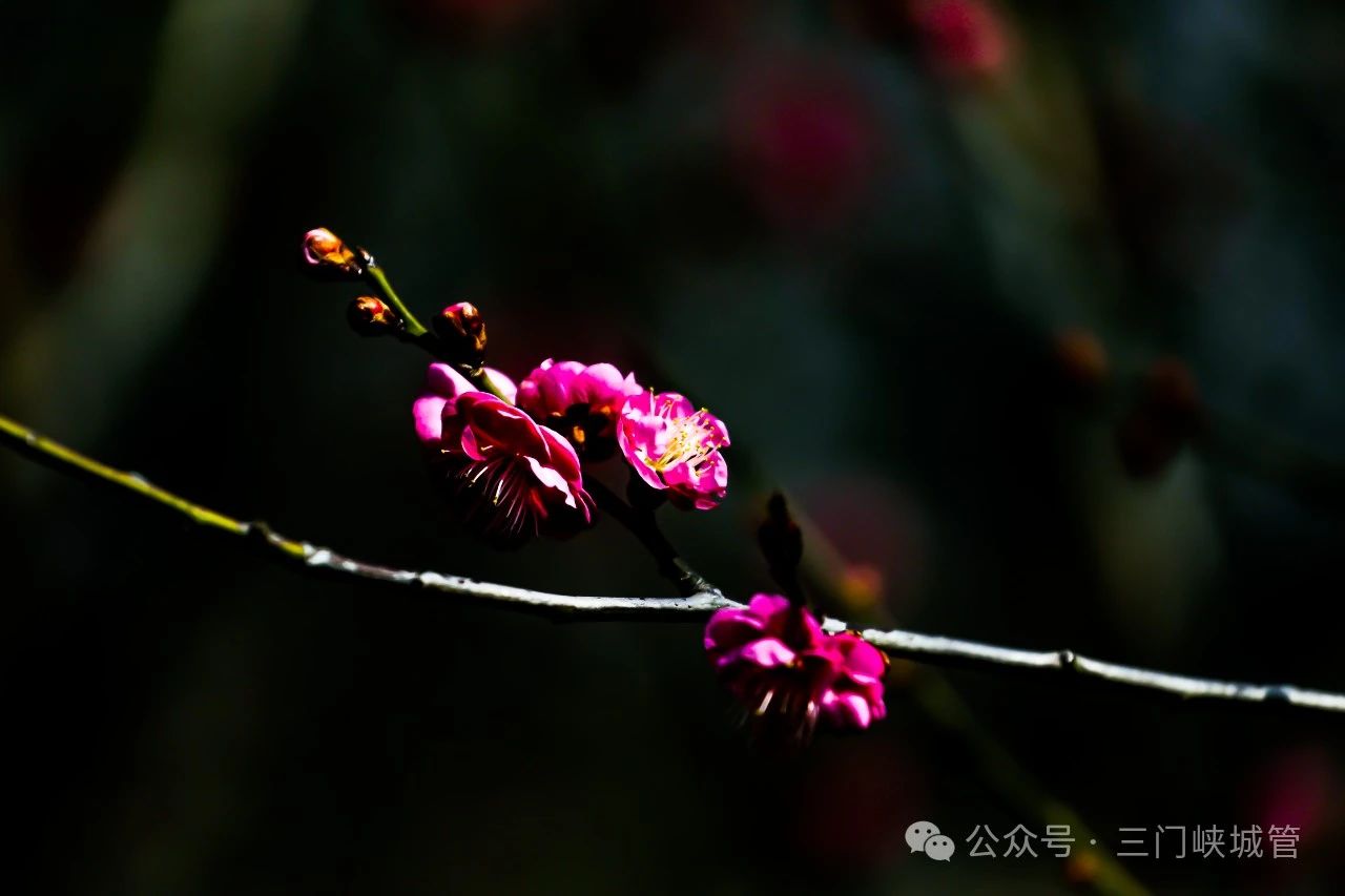 微信图片_20240307101851.jpg