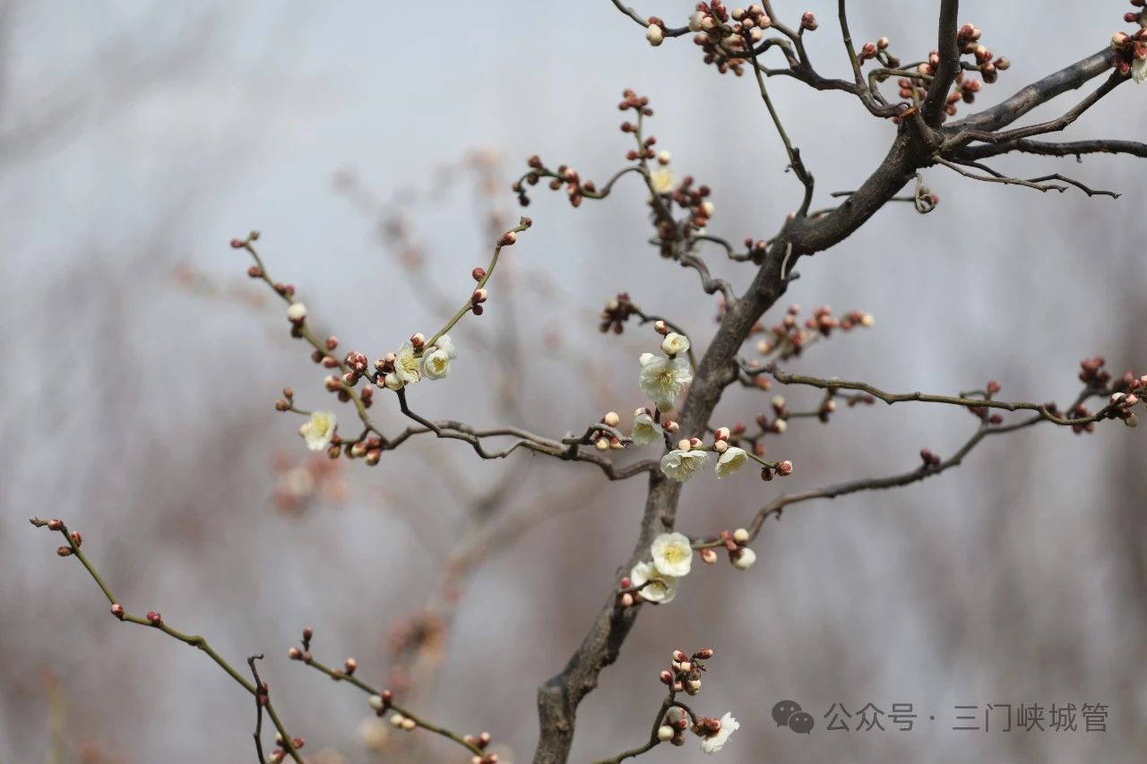 微信图片_20240307101915.jpg