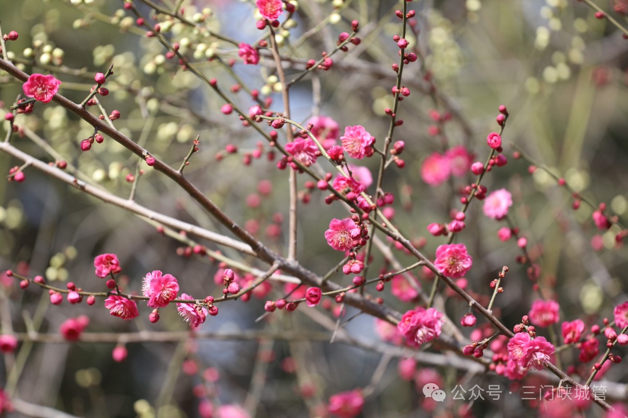 微信图片_20240307101935.jpg