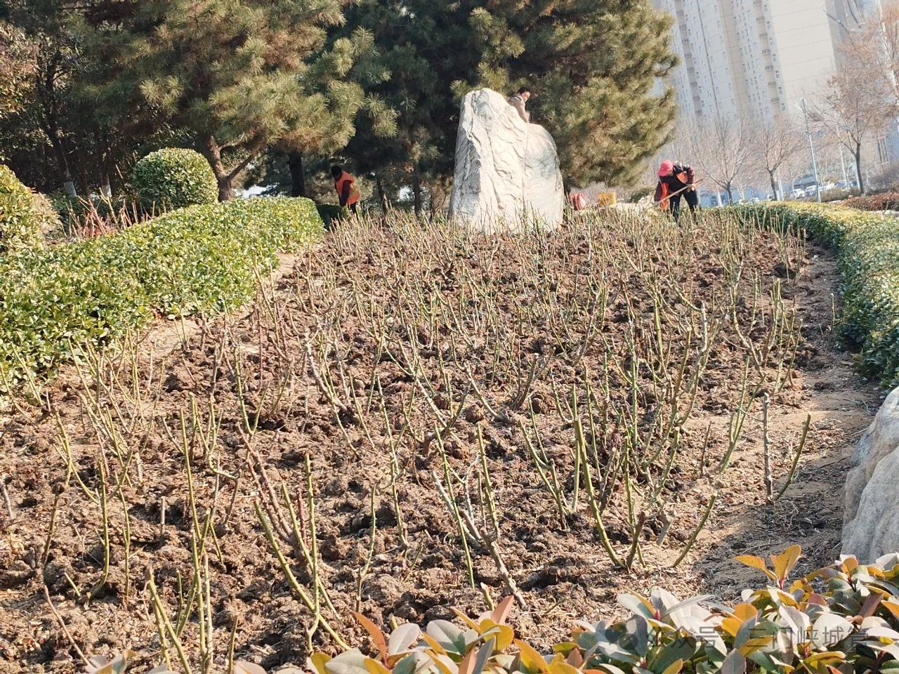 微信图片_20240122083009.jpg