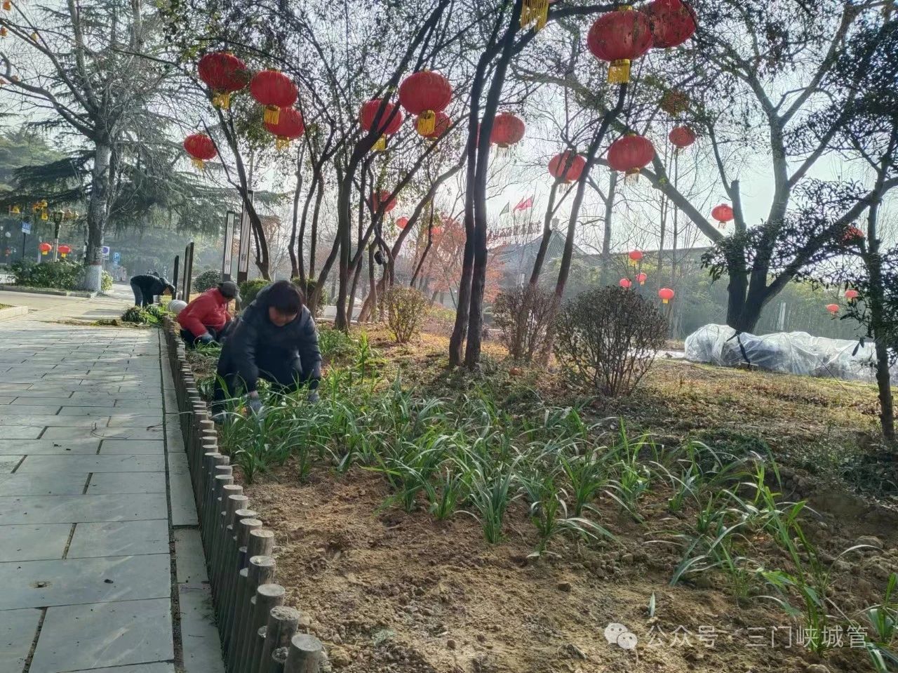 微信图片_20240314084301.jpg