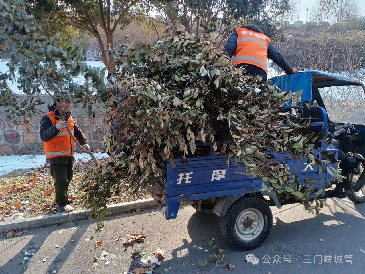 微信图片_20240126085121.jpg