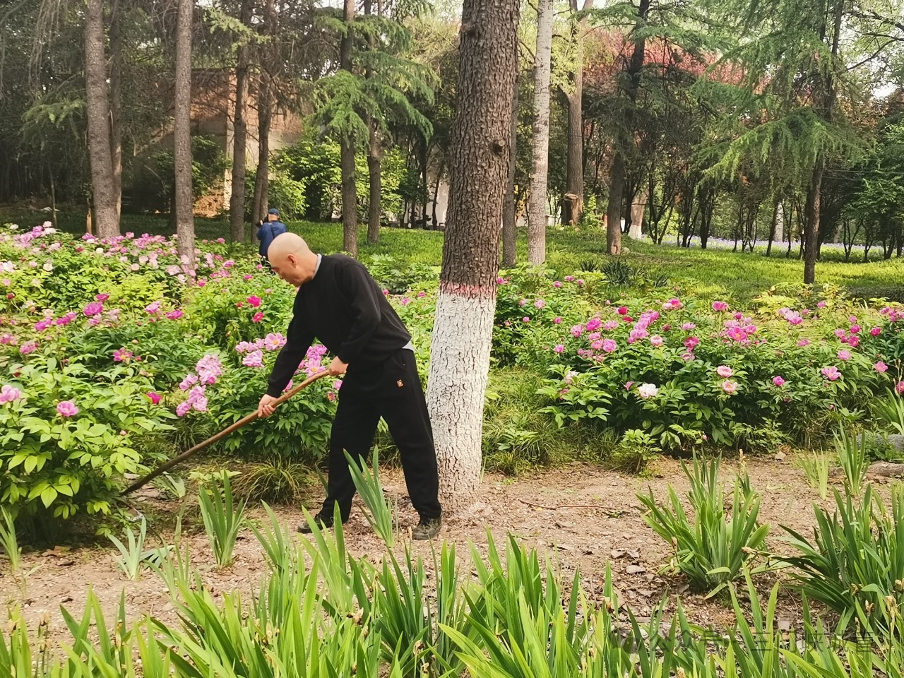 微信图片_20240425095246.jpg