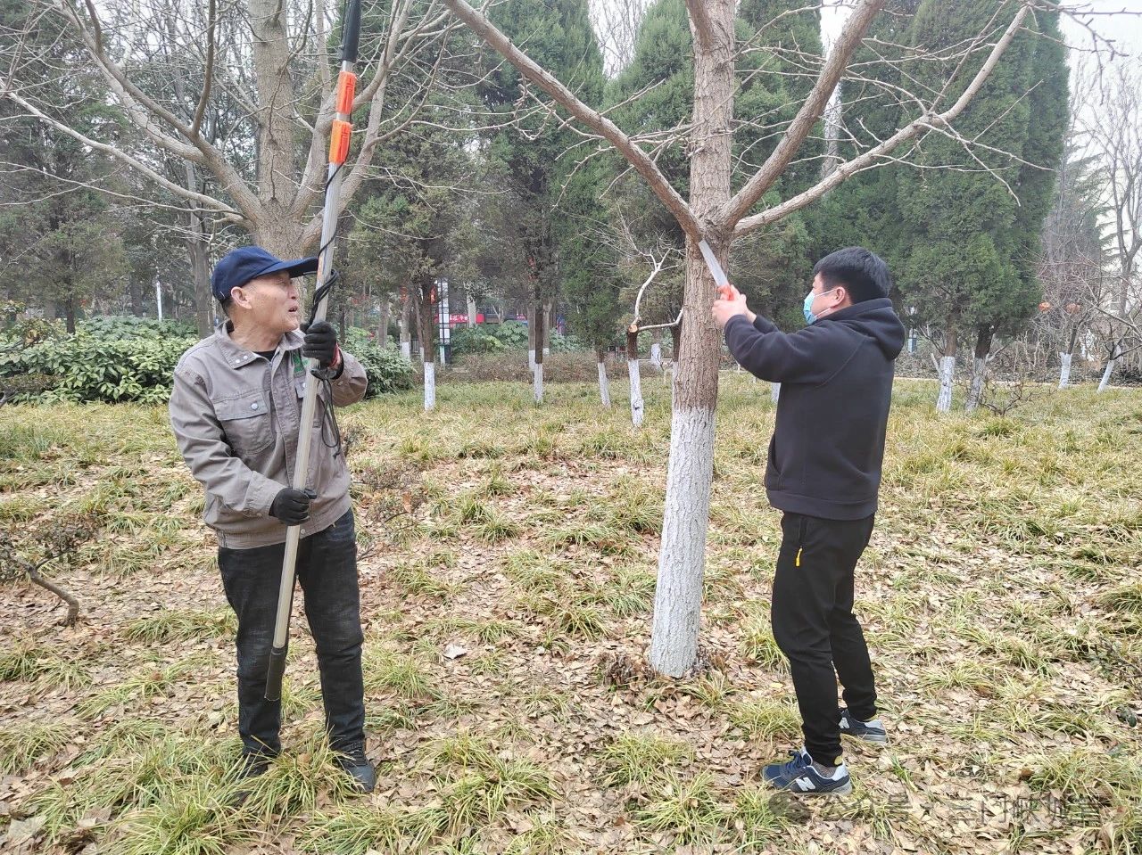 微信图片_20240314084320.jpg