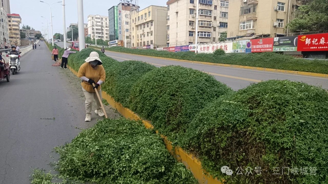 微信图片_20240524210713.jpg