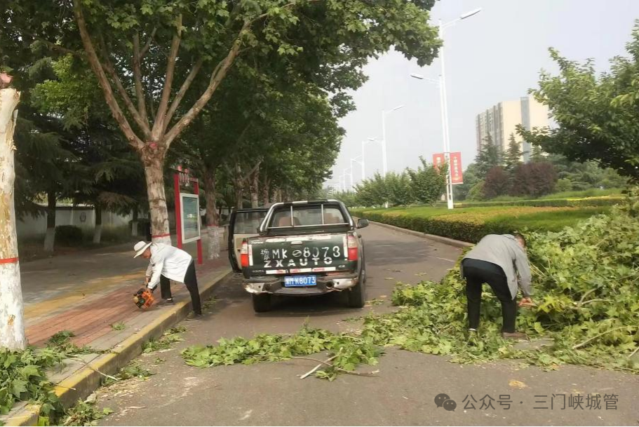 微信图片_20240603094333.png