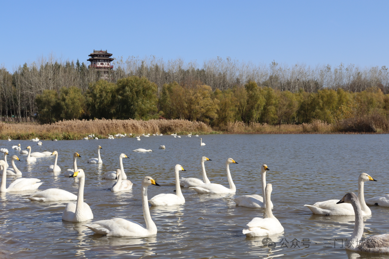 微信图片_20241210093600.png 微信图片_20241210093600.png