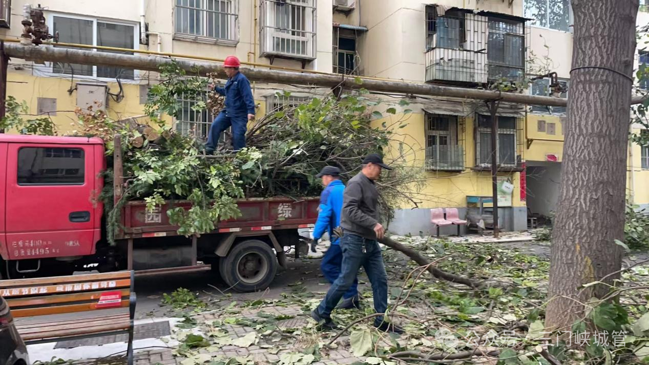 微信图片_20250110091246.png 微信图片_20250110091246.png