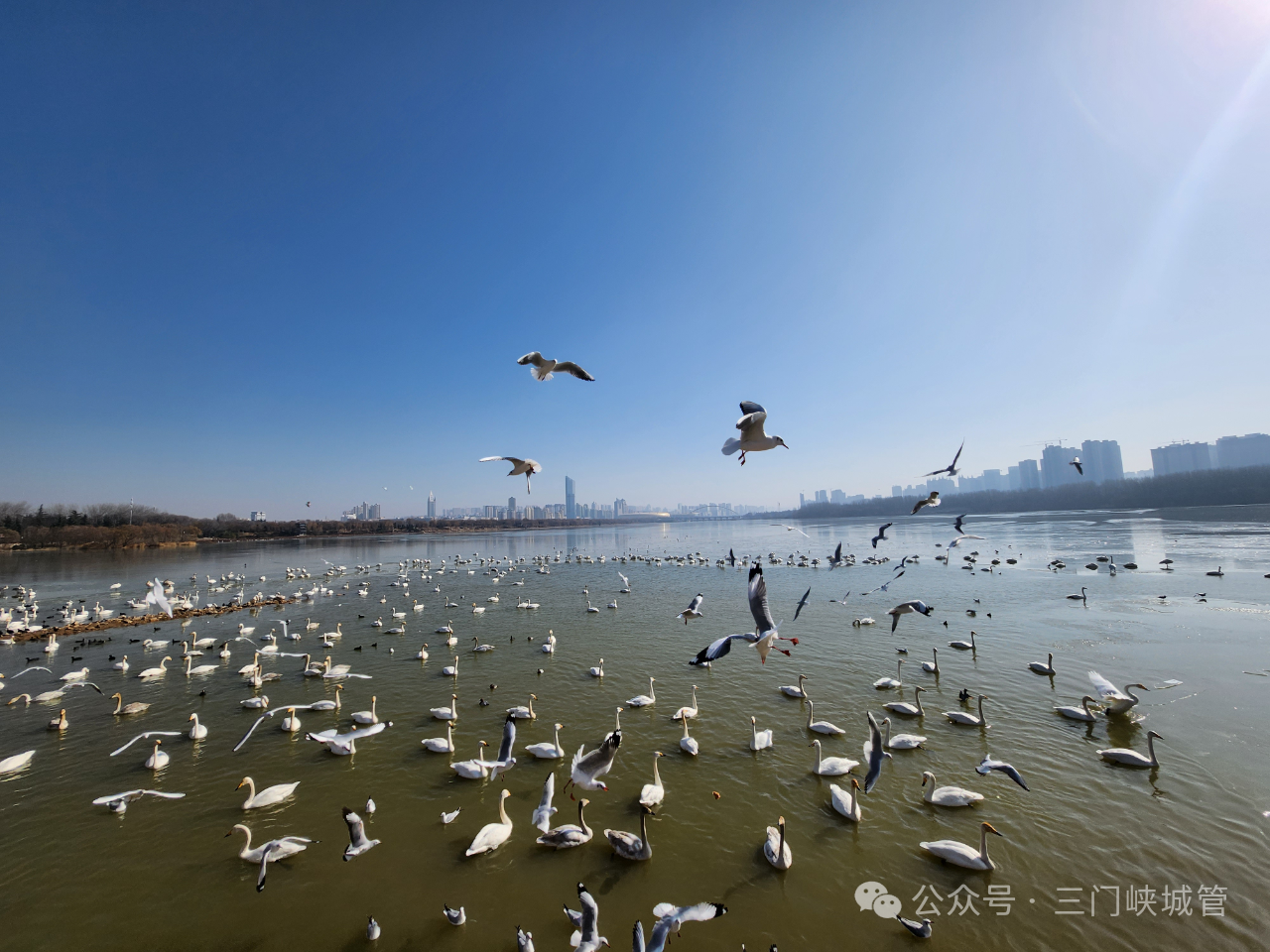 微信图片_20241210093610.png 微信图片_20241210093610.png