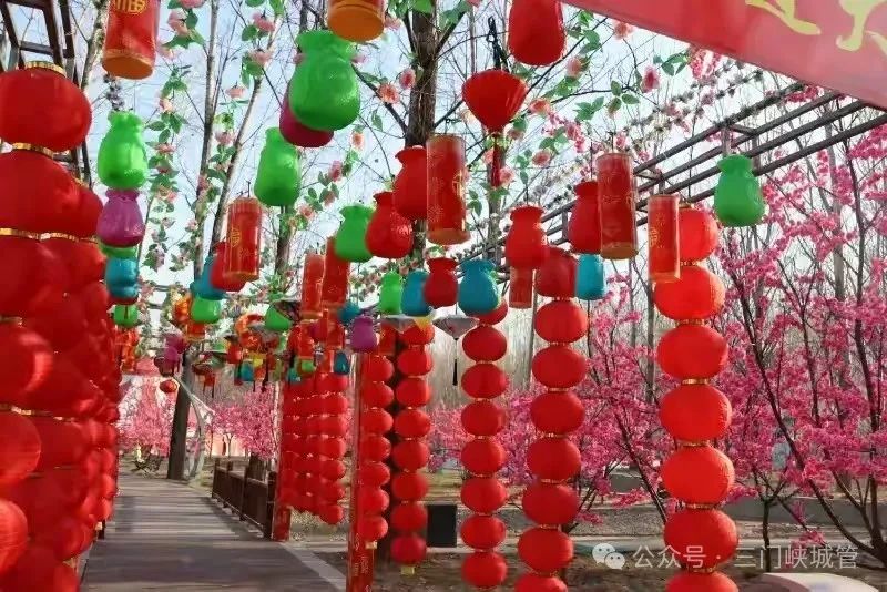 微信图片_20250121084154.jpg 微信图片_20250121084154.jpg