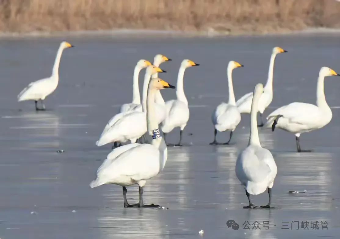 微信图片_20241230085829.jpg 微信图片_20241230085829.jpg