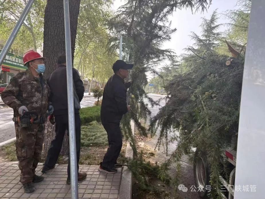 微信图片_20250414092125.jpg