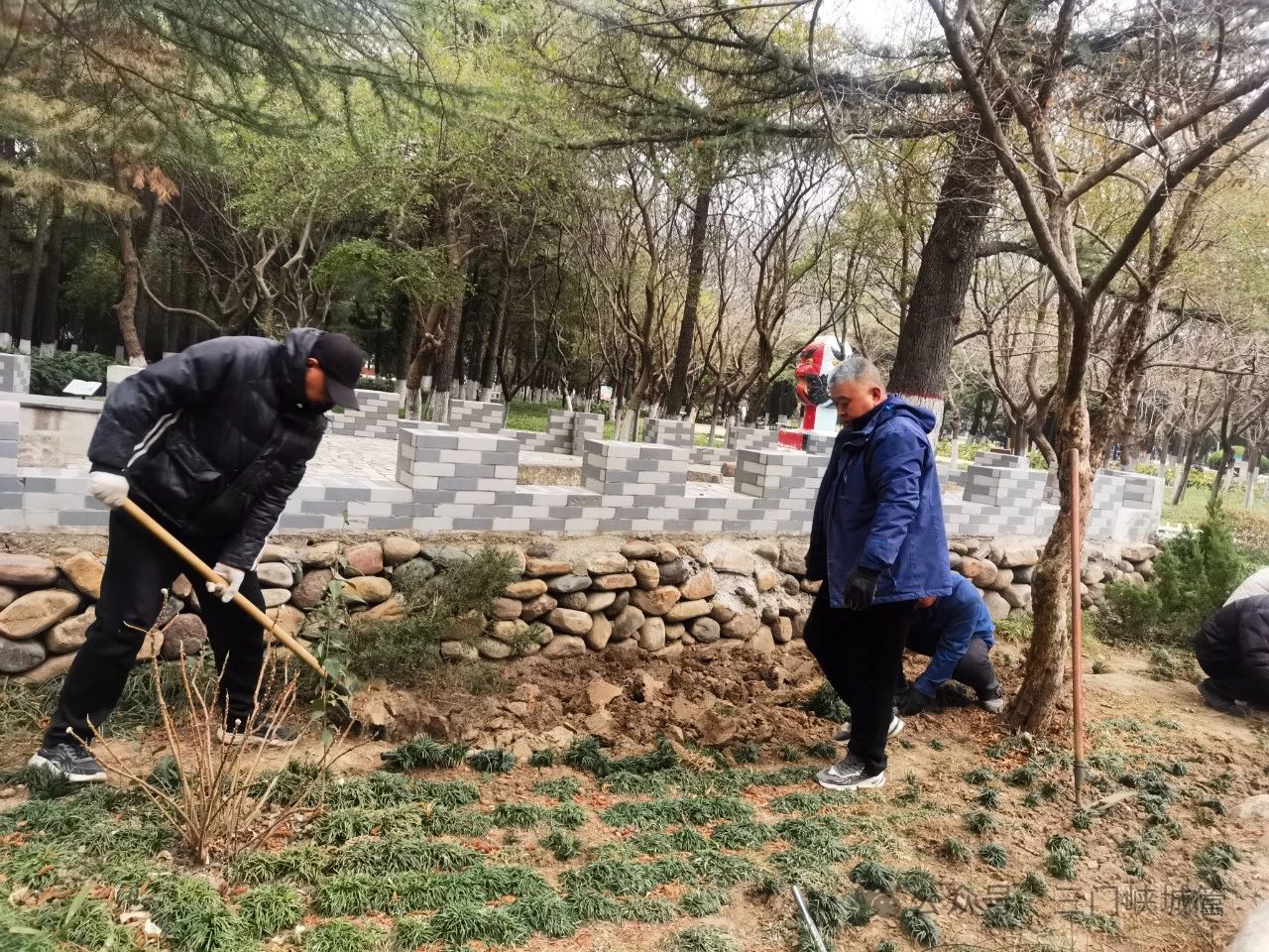 微信图片_20250221083511.jpg