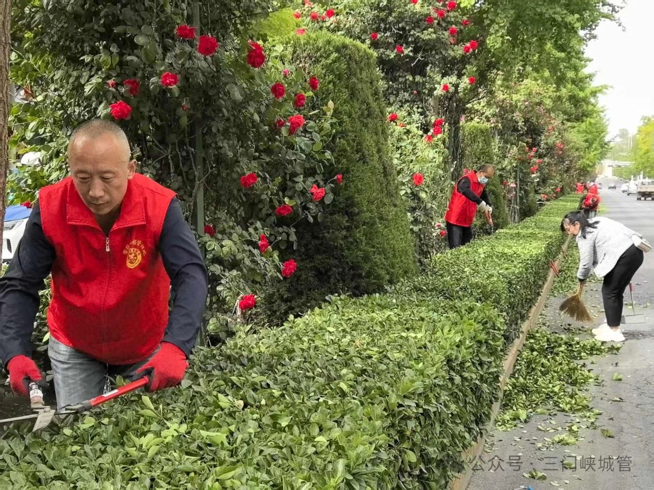 微信图片_20250424082457.jpg