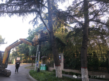 微信图片_20250428082318.png