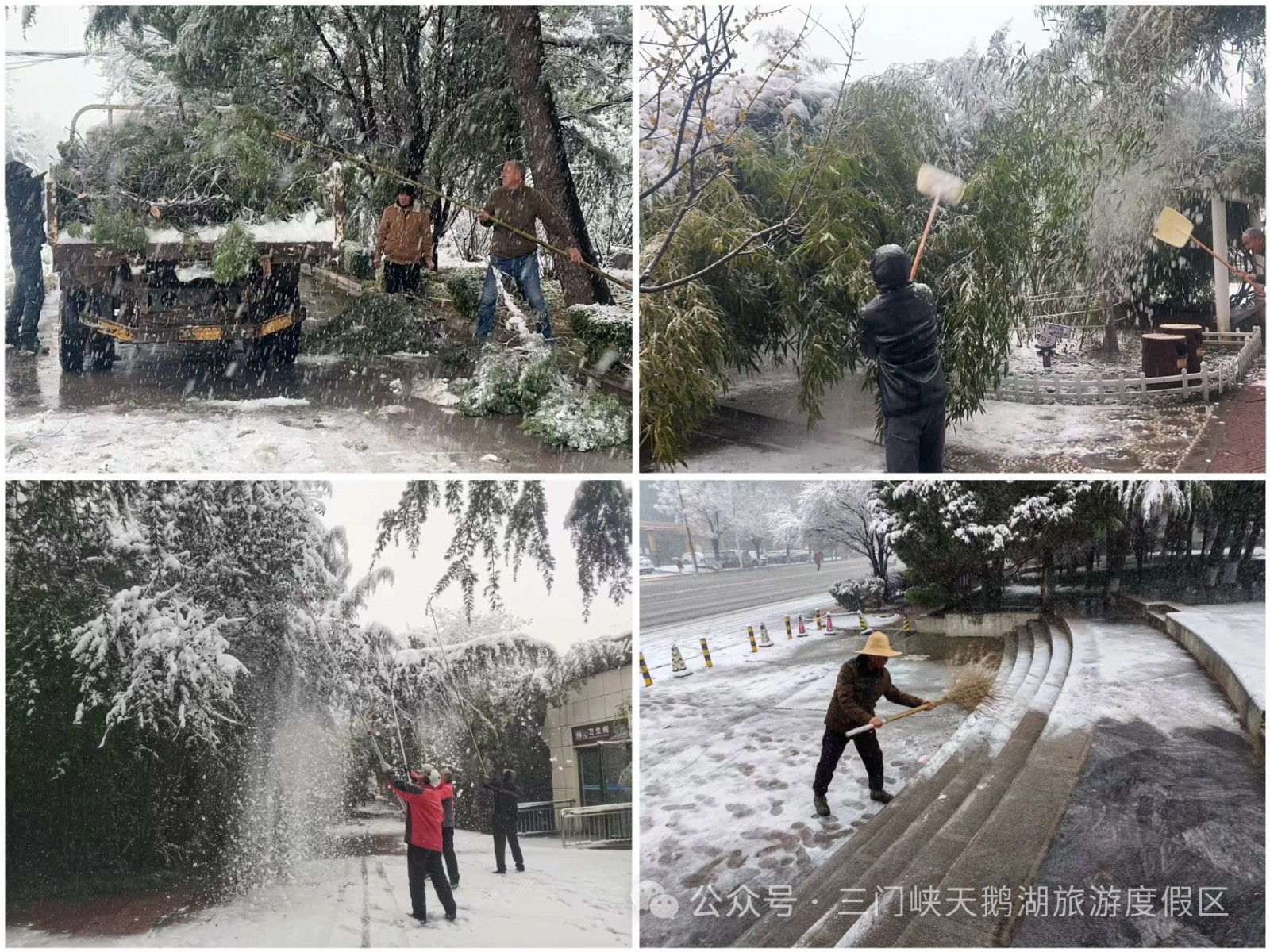 微信图片_20250304085731.jpg 微信图片_20250304085731.jpg