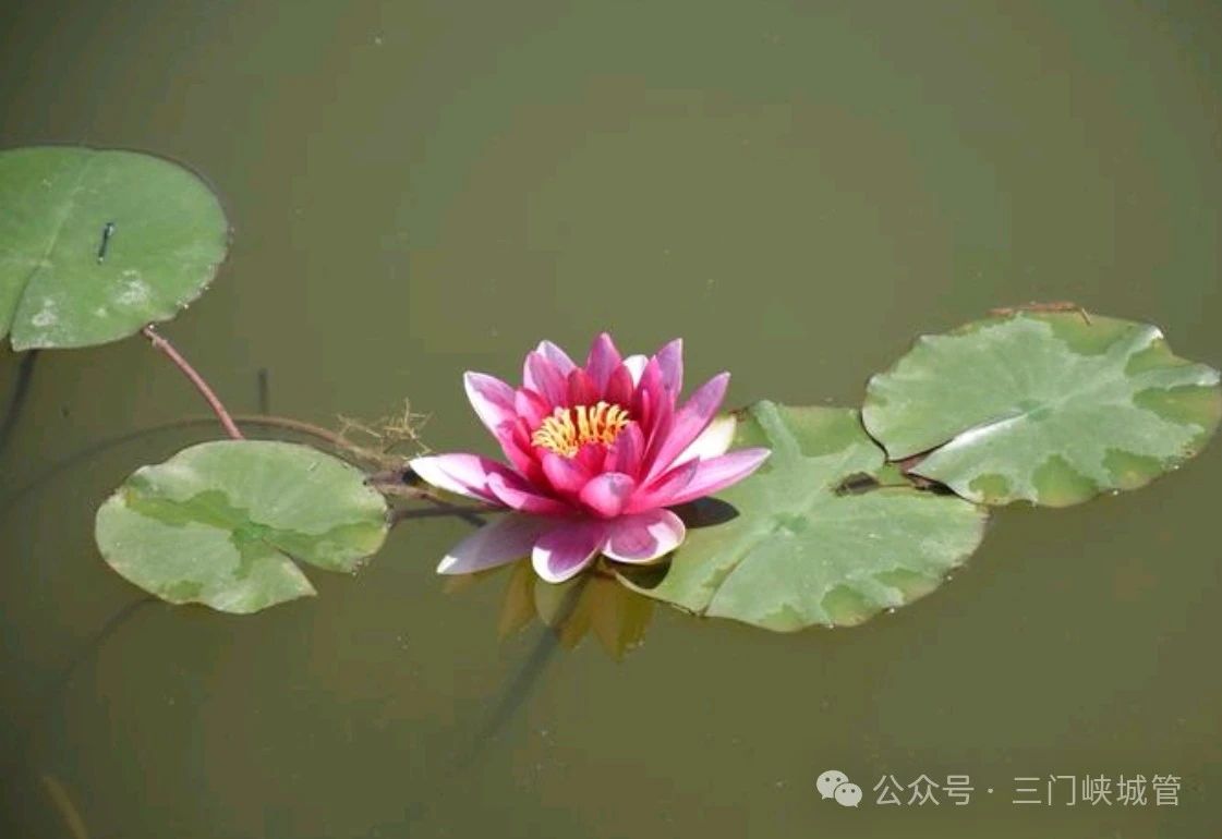 微信图片_20250501091534.jpg