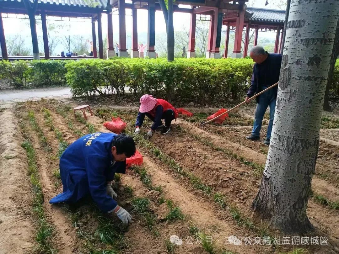 微信图片_20250501092741.jpg