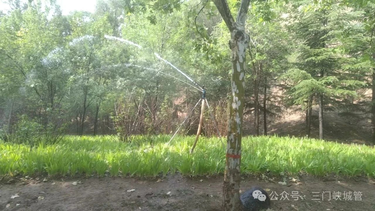 微信图片_20250526090009.jpg