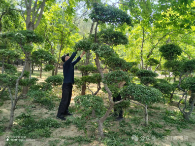 微信图片_20250527083435.png