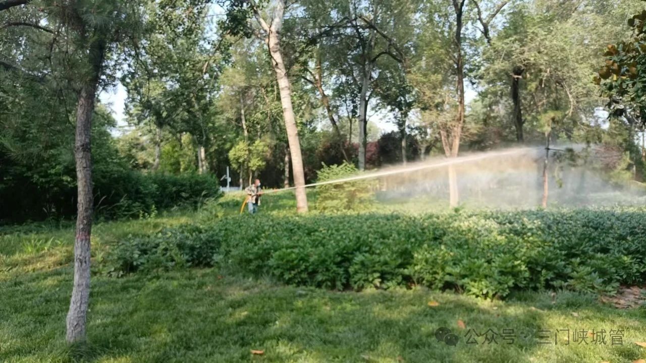 微信图片_20250606082851.jpg