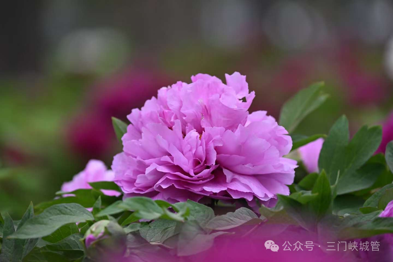 微信图片_20250417100406.png