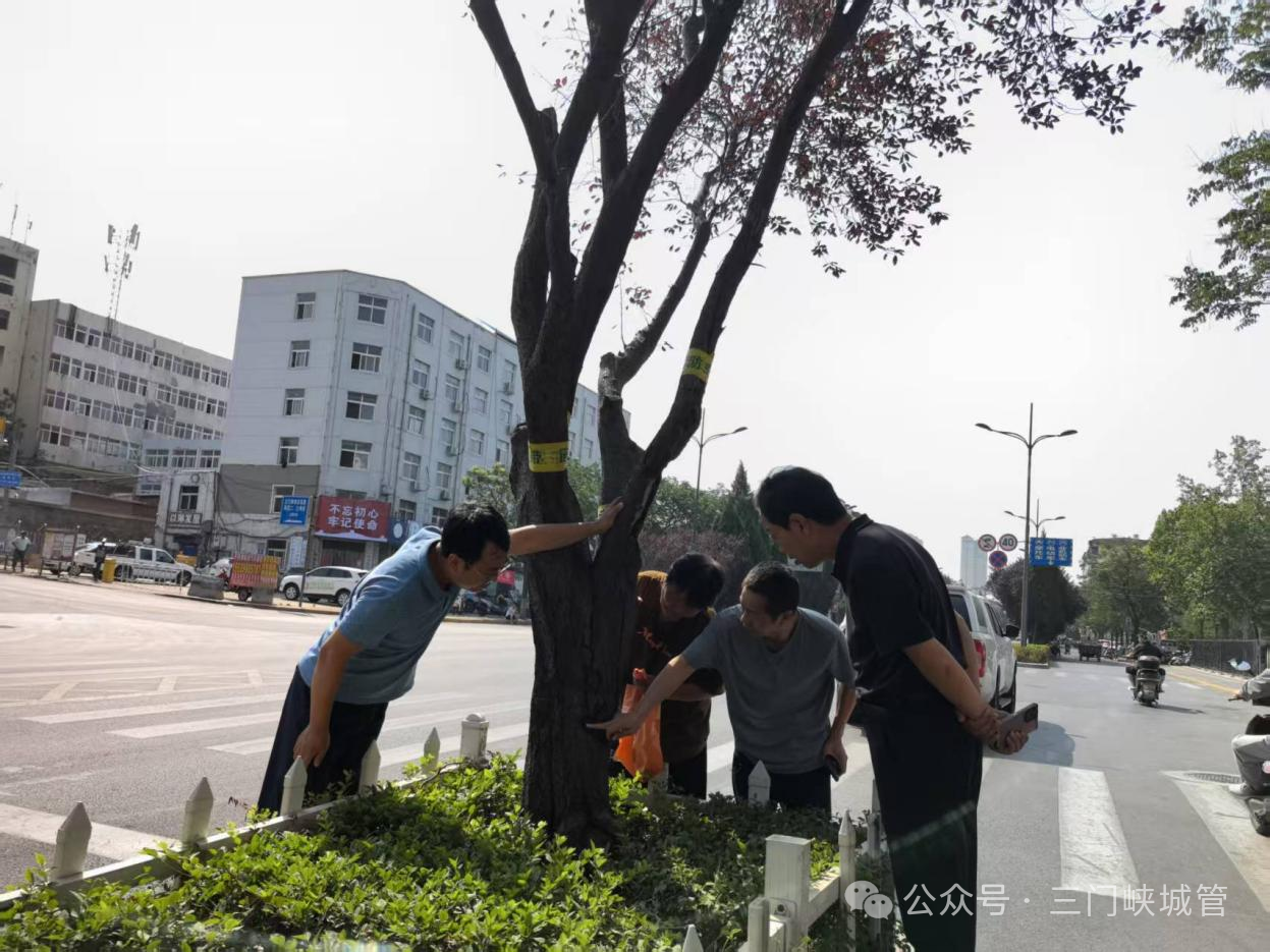 微信图片_20250616161752.png