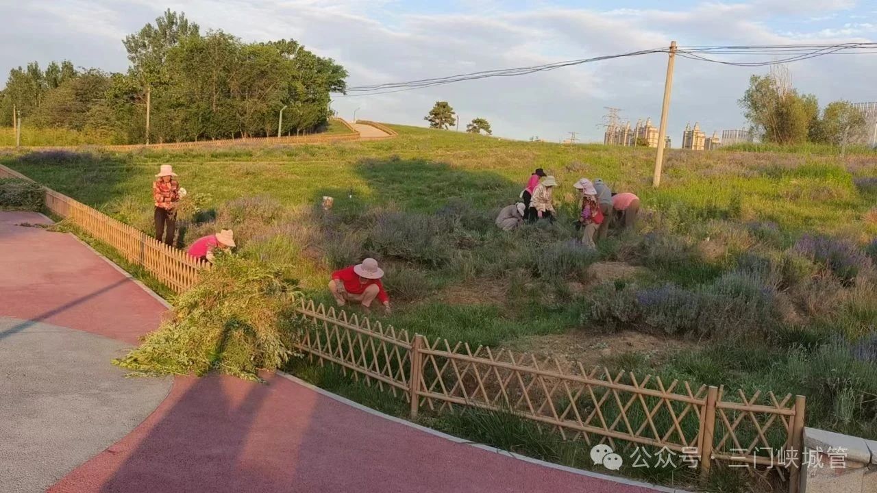 微信图片_20250616160300.jpg