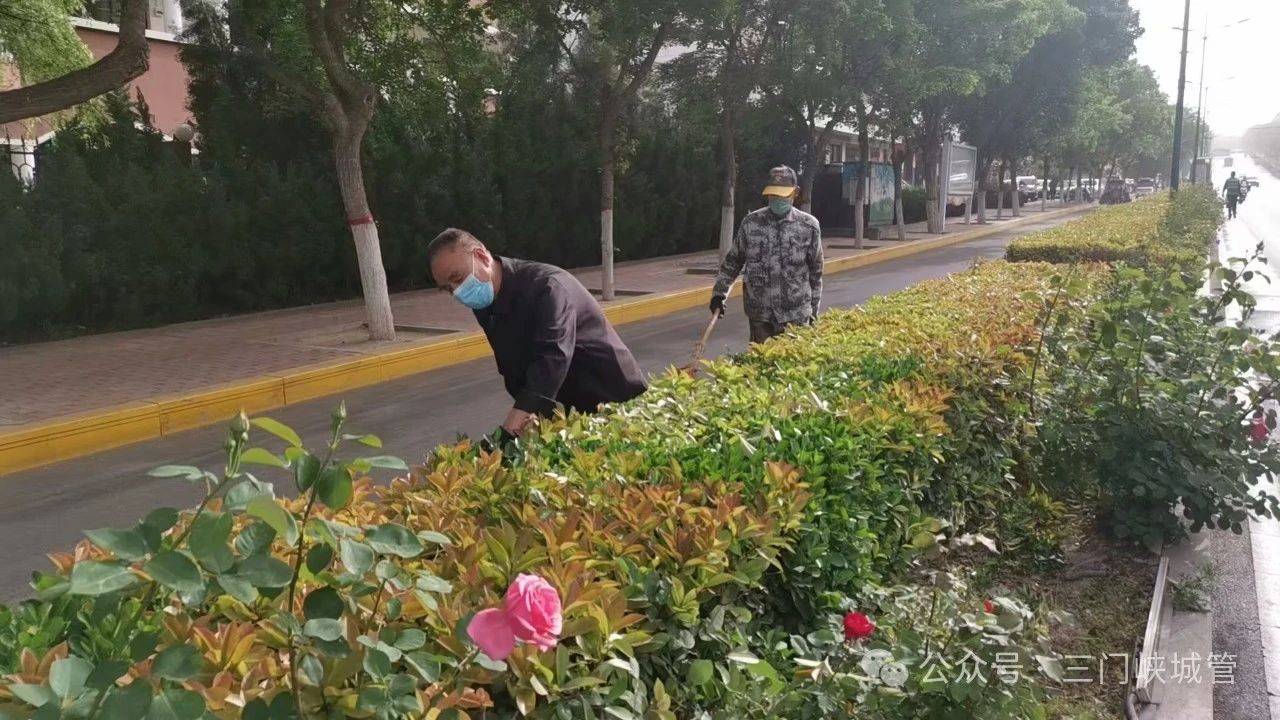 微信图片_20250425084453.jpg