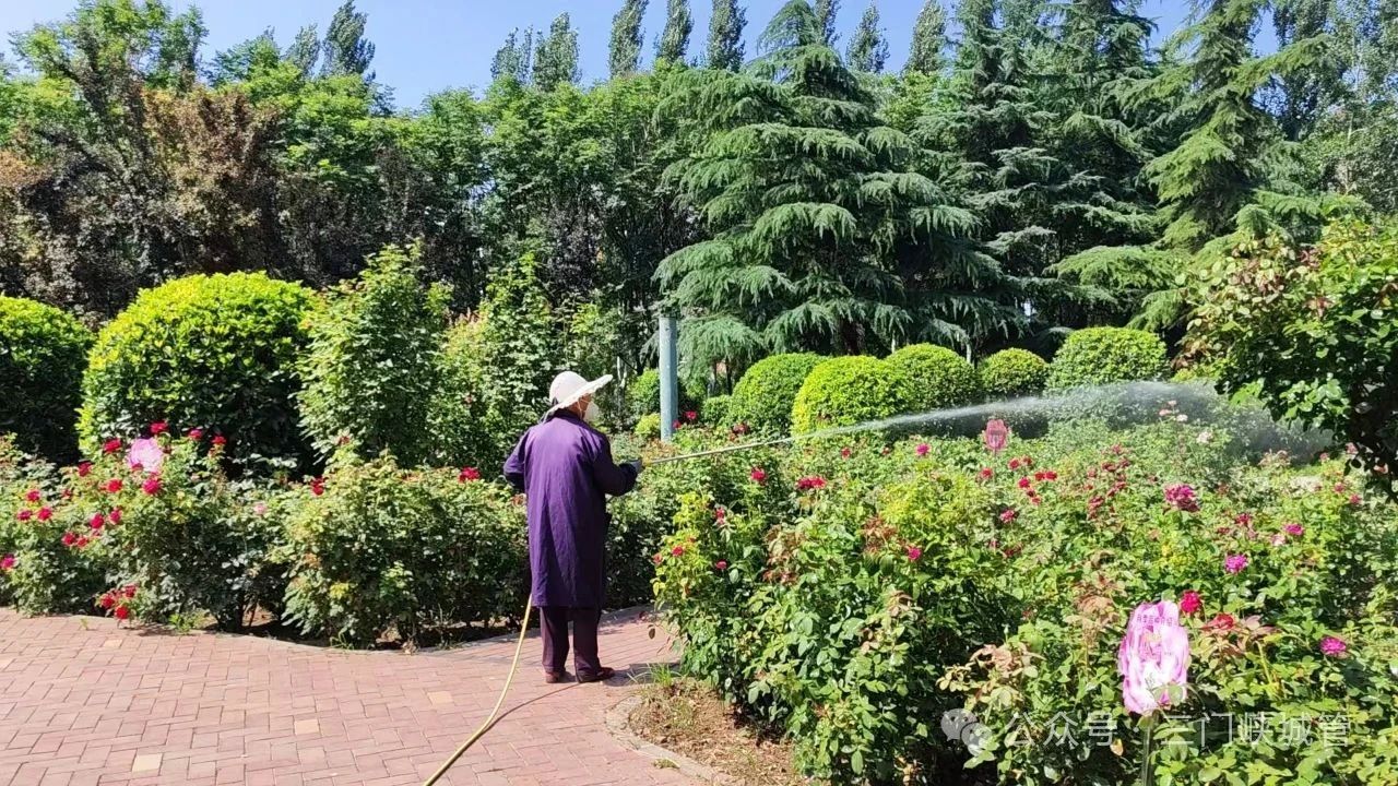 微信图片_20250620084112.jpg