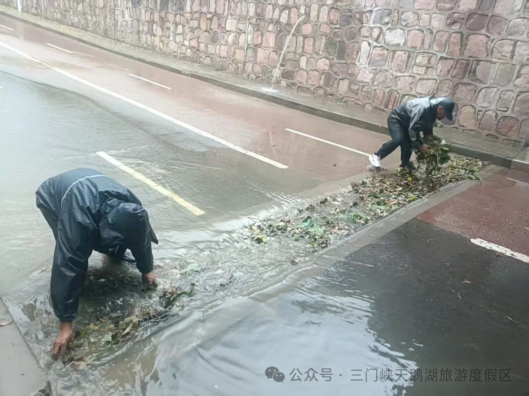 微信图片_20250620090243.jpg