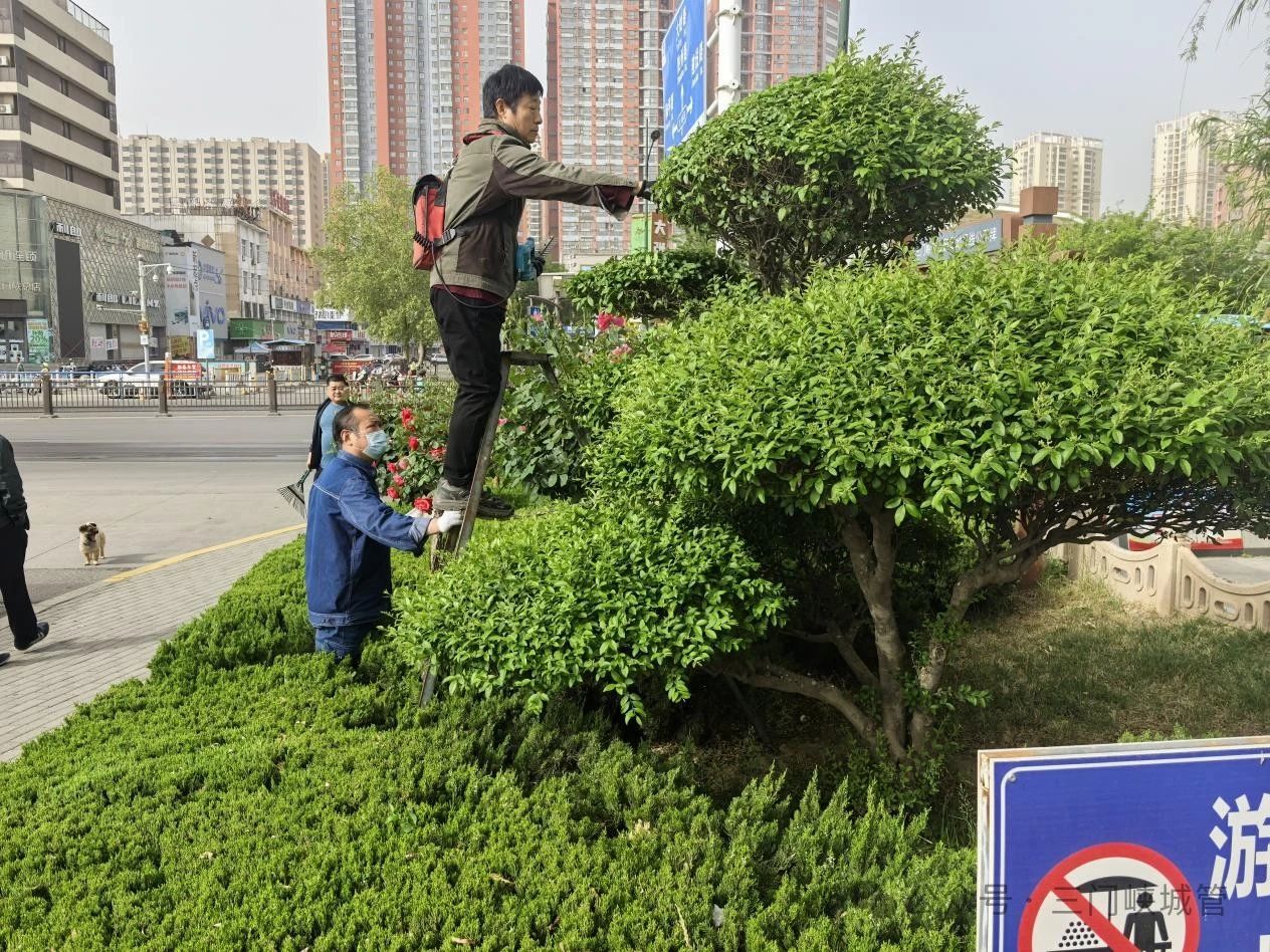 微信图片_20250501092746.jpg