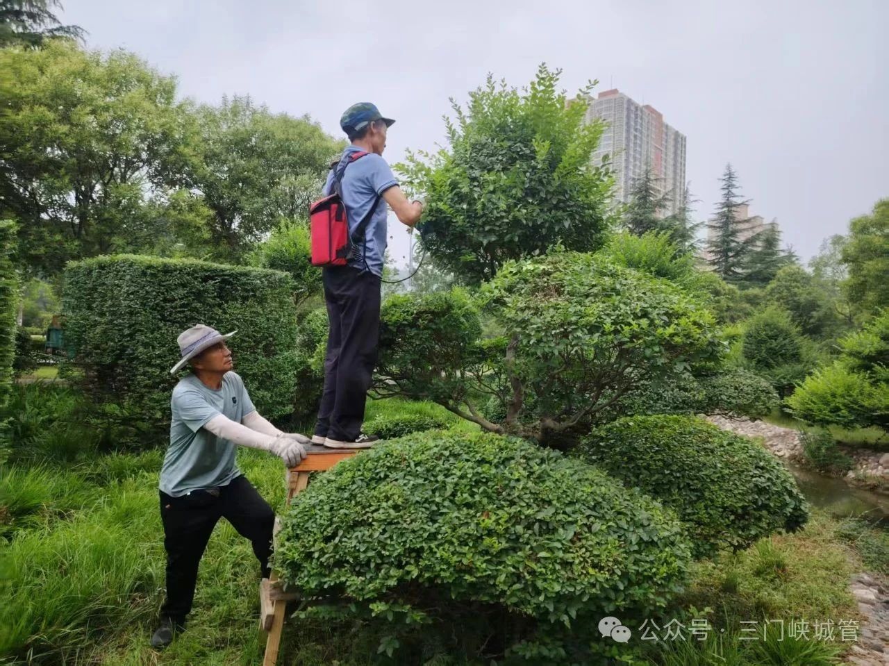 微信图片_20250704082056.jpg