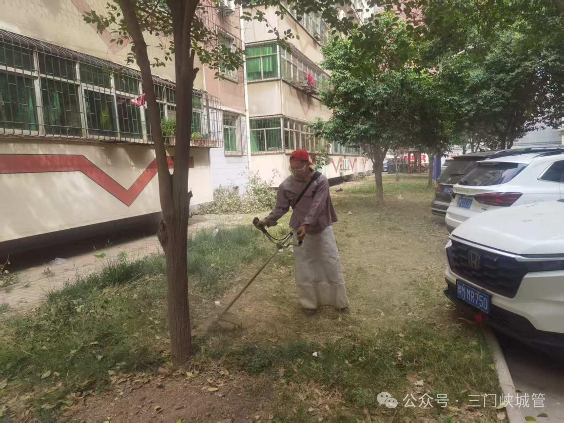 微信图片_20250515084201.png