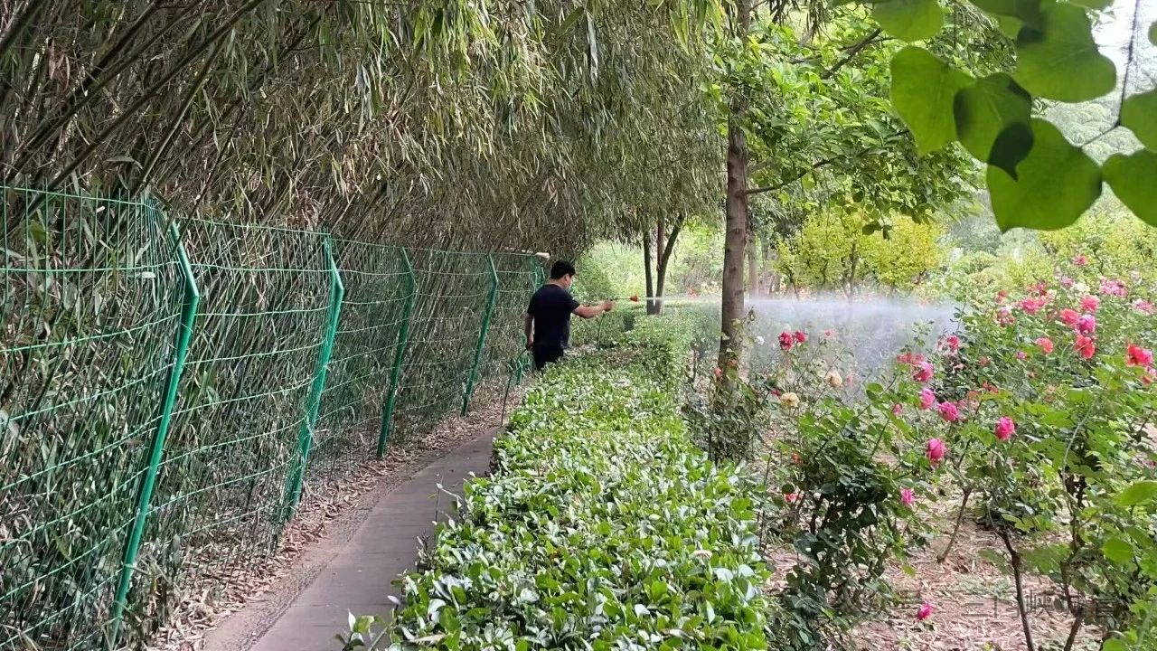 微信图片_20250516083751.jpg