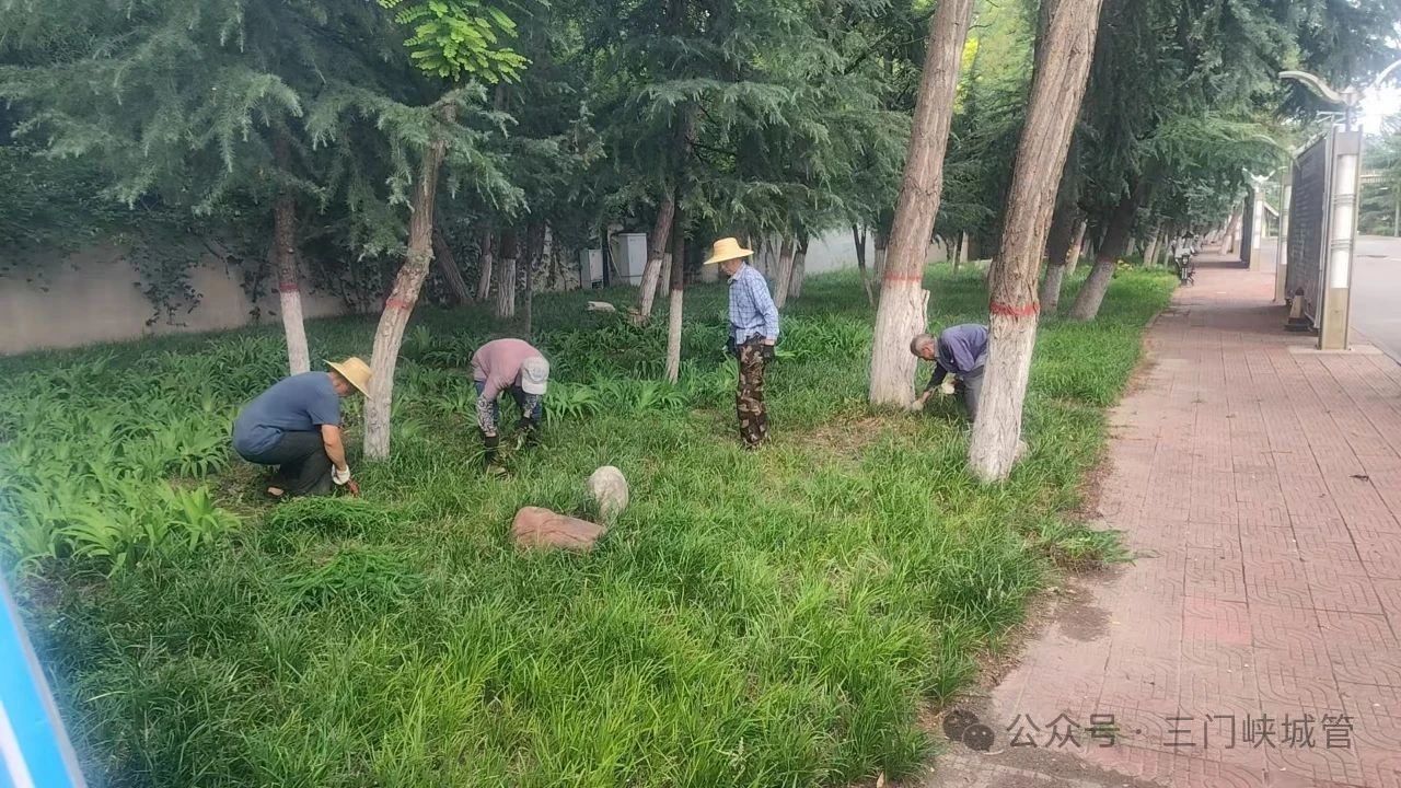 微信图片_20250711151633.jpg