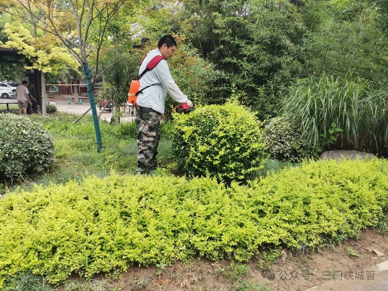 微信图片_20250711151624.jpg
