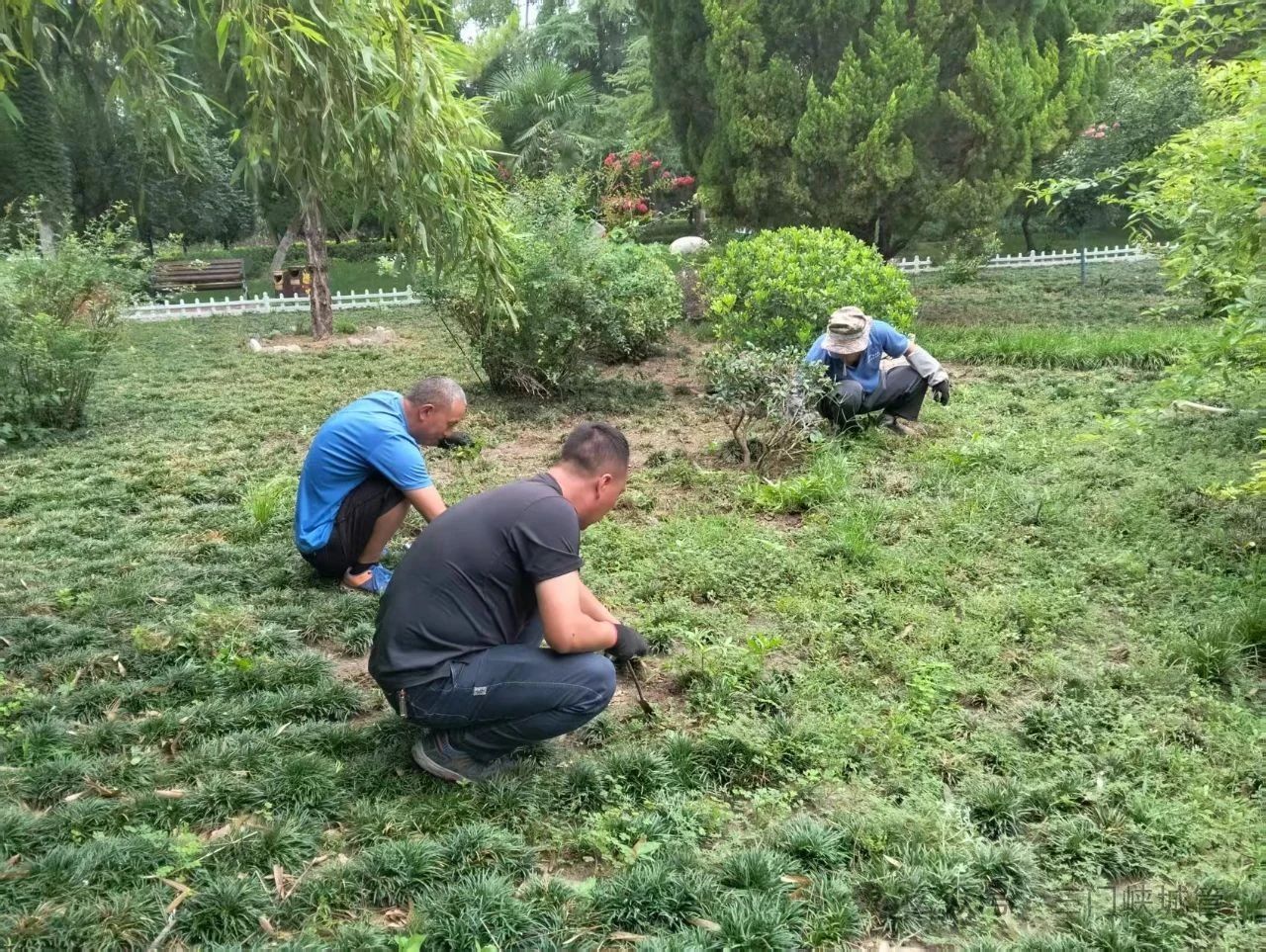 微信图片_20250721084826.jpg