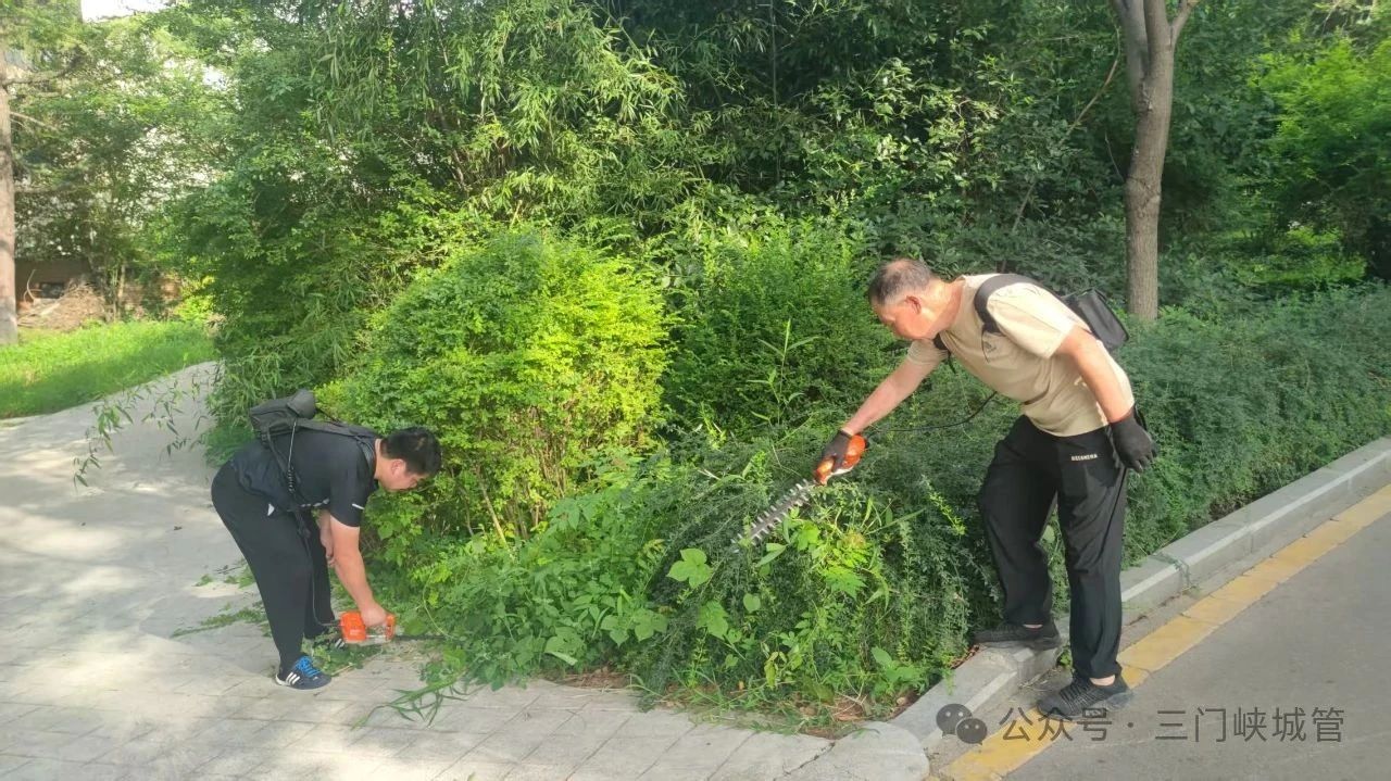 微信图片_20250721084833.jpg